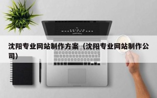 天津沈阳专业网站制作方案（沈阳专业网站制作公司）
